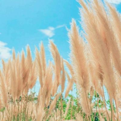 pg娱乐电子游戏官网更新